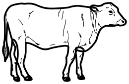 Veau-boucheriealafermeheron