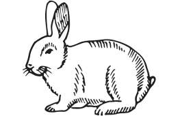 lapin-boucheriealafermeheron